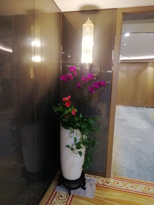 開(kāi)花植物