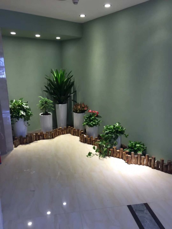 藝術組合盆景