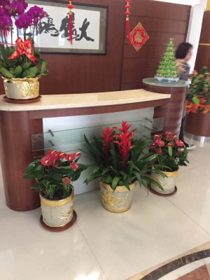 開(kāi)花植物