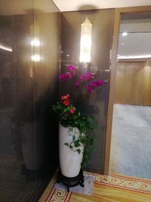 開(kāi)花植物